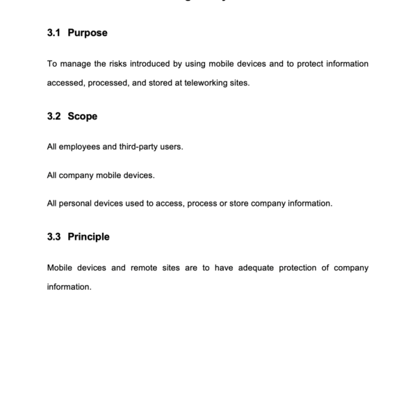 ISO 27001 Mobile And Remote Working Policy Example 4