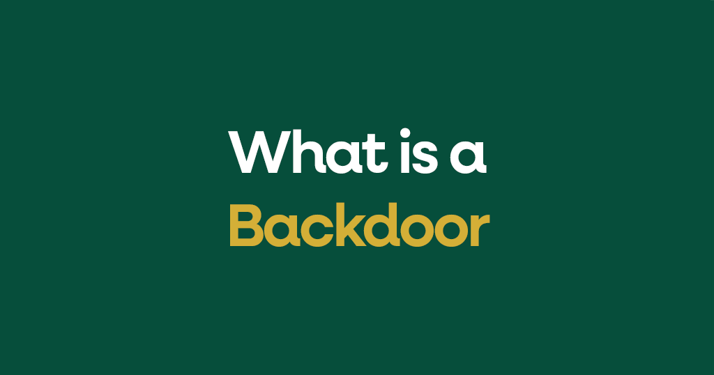 What is a Backdoor?