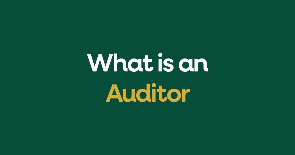 What is an auditor?