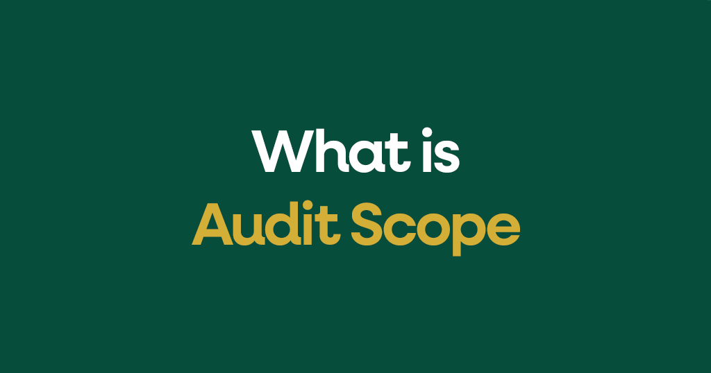 What is audit scope?