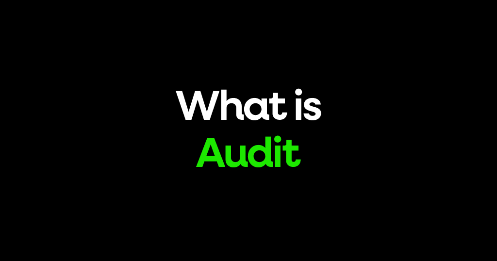 What is an audit?