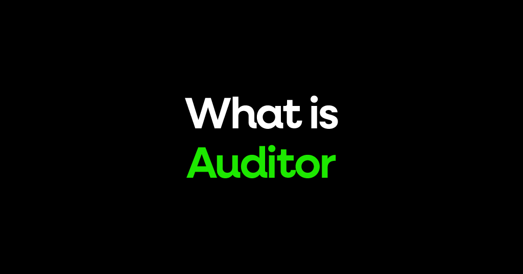 What is an auditor?